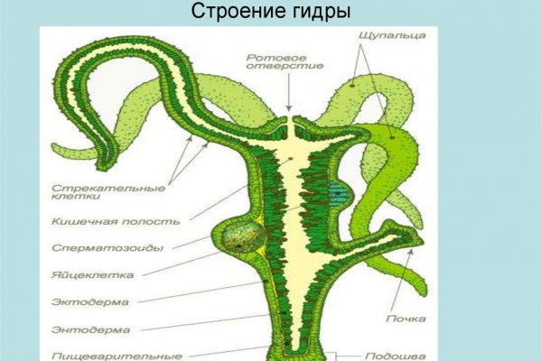 Зайти на кракен тор